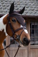 Kentucky Horsewear Fly Veil Long