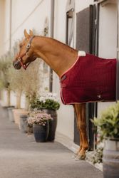 Kentucky Horsewear Cooler Rug PROtherm