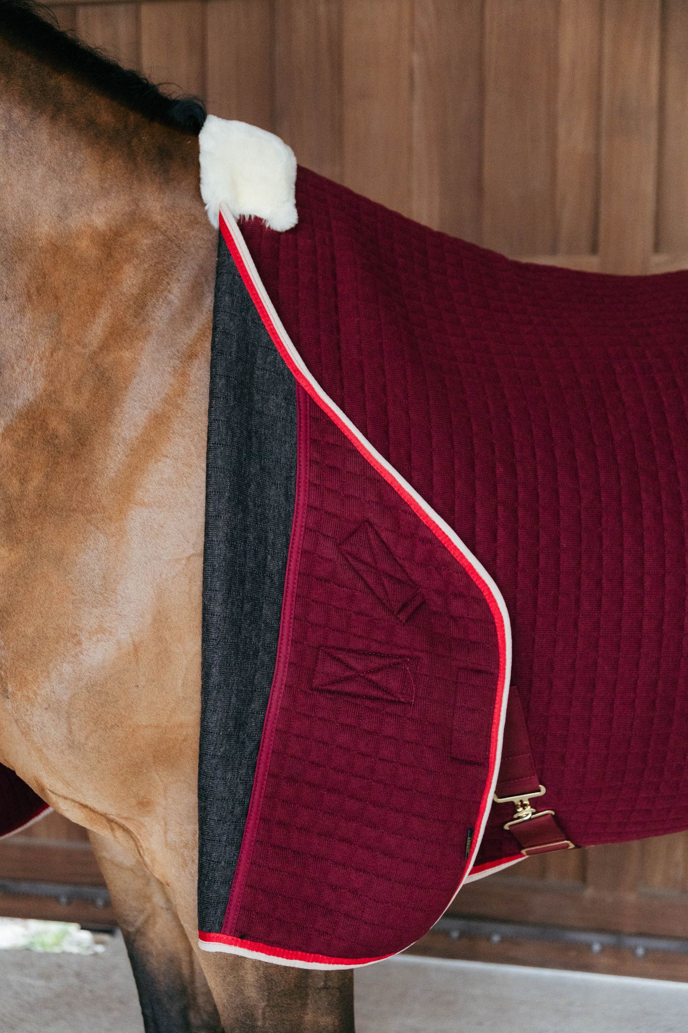 Kentucky Horsewear Cooler Rug PROtherm