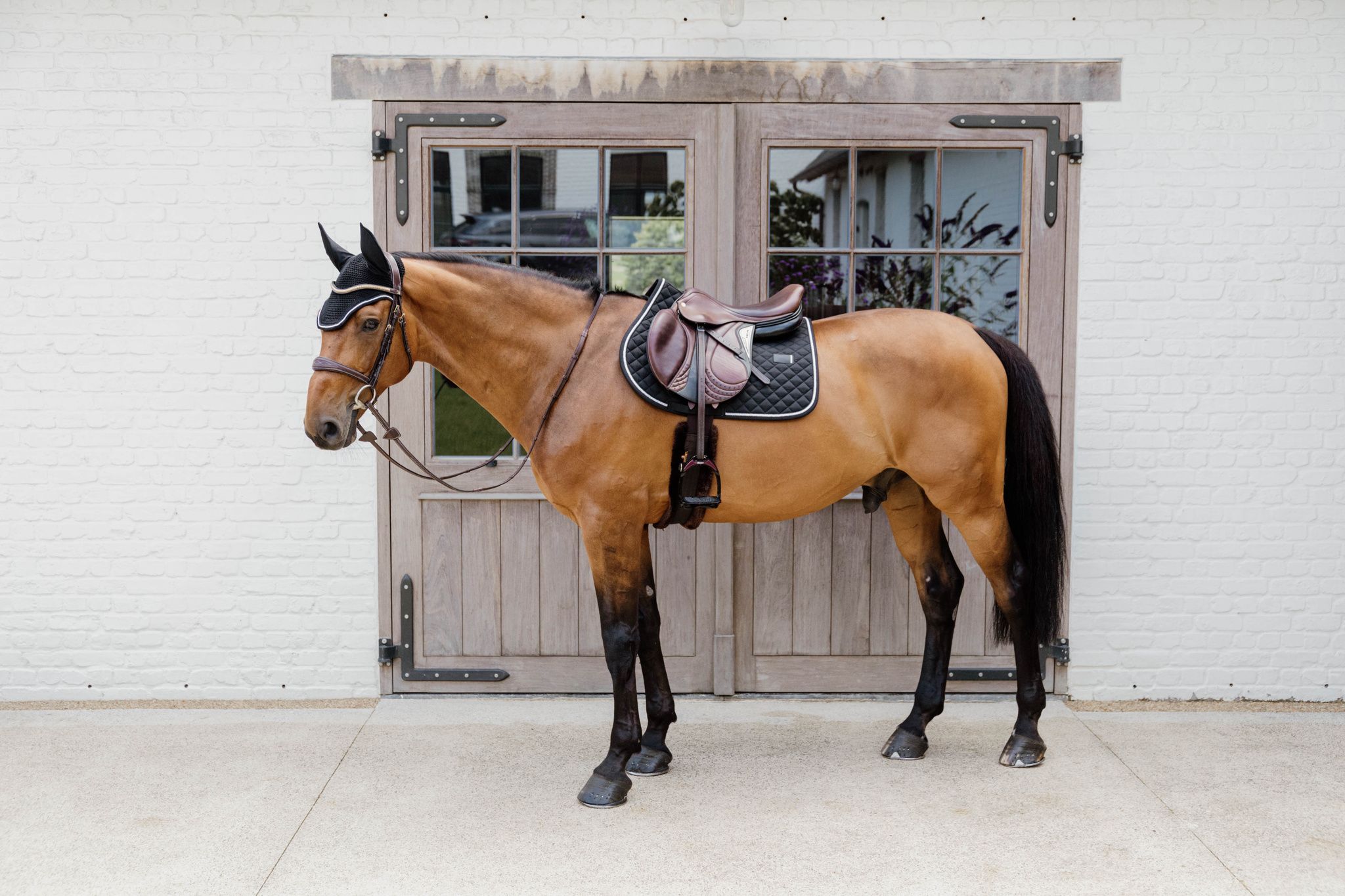 Kentucky Horsewear Saddle Pad Diamond Rope Jumping