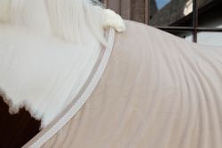 Kentucky Horsewear Fleece Rug Plaited Rope