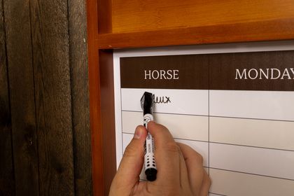 Grooming Deluxe Stable Planner Magnetic with Frame
