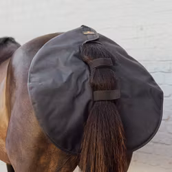 Kentucky Horsewear Quarter Guard