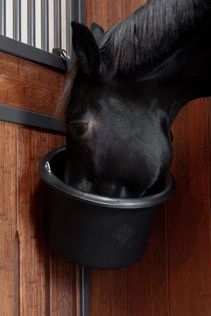 Grooming Deluxe Feed Bucket