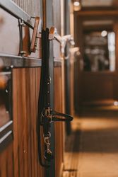 Grooming Deluxe Bridle Rack Single