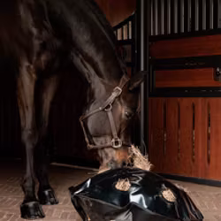 Grooming Deluxe Play & Haybag Slow Feeder Round