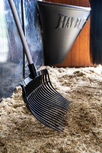 Grooming Deluxe Shaving Fork