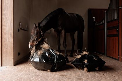 Grooming Deluxe Play & Haybag Slow Feeder Round