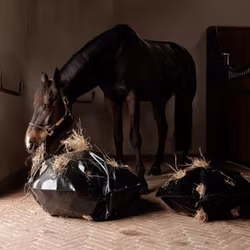 Grooming Deluxe Play & Haybag Slow Feeder Round