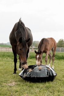 Grooming Deluxe Play & Haybag Slow Feeder Round