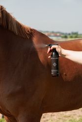 Grooming Deluxe Anti Fly Spray