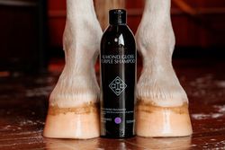 Grooming Deluxe Almond Gloss Purple Shampoo