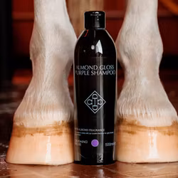 Grooming Deluxe Almond Gloss Purple Shampoo