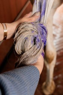 Grooming Deluxe Almond Gloss Purple Shampoo