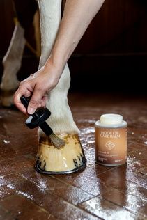 Grooming Deluxe Hoof Oil Care Balm