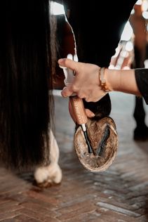 Grooming Deluxe Equi Hoof zinc paste