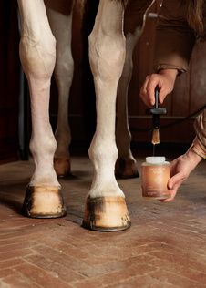 Grooming Deluxe Hoof Oil Shine