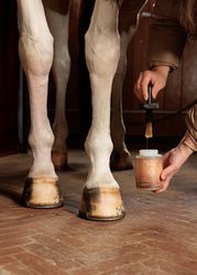 Grooming Deluxe Hoof Oil Shine