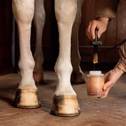 Grooming Deluxe Hoof Oil Shine