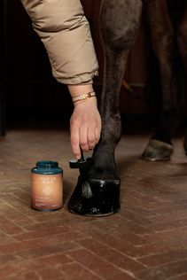 Grooming Deluxe Hoof Oil Shine