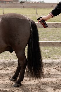 Grooming Deluxe Itch Stop Plus