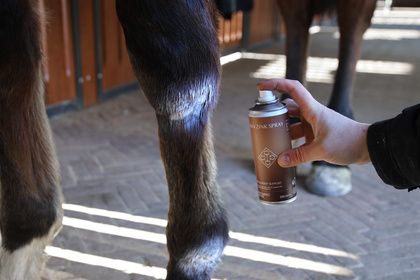 Grooming Deluxe Zinc Spray