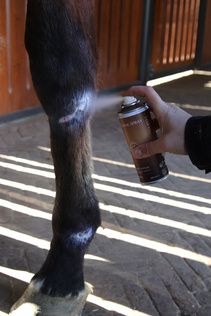 Grooming Deluxe Zinc Spray
