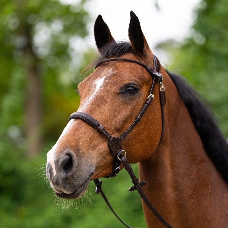 JumpIn Bitless Bridle - Evolution series