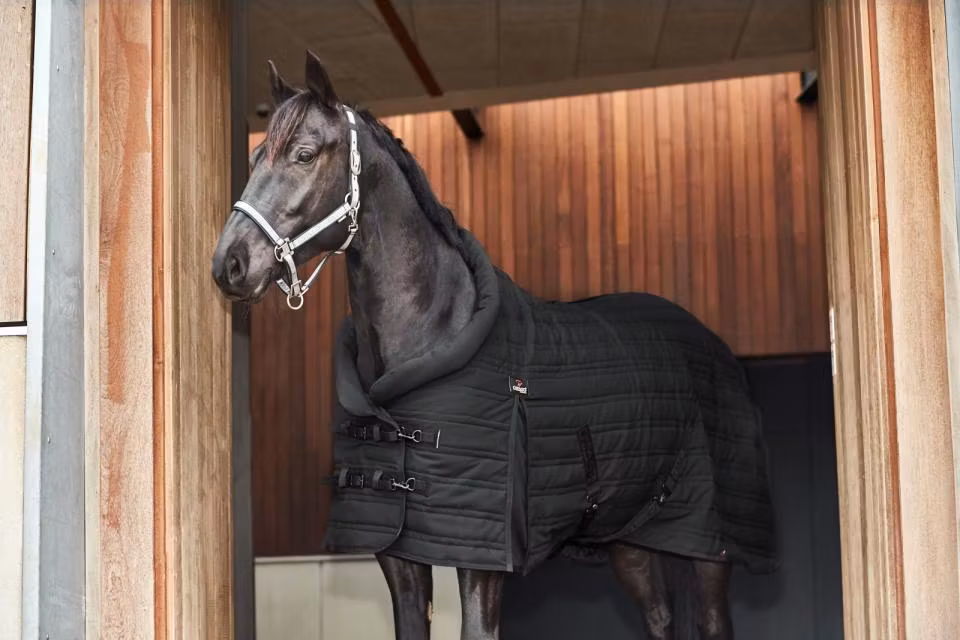 CATAGO Hybrid stalltäcke 200 g