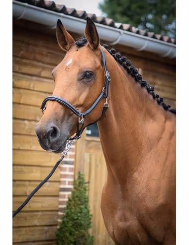 Grooming-grimma Jump In One