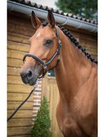 Grooming-grimma Jump In One