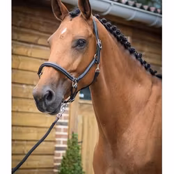 Grooming-grimma Jump In One