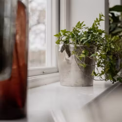 Kruka med hästhuvud