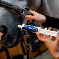 Cavalor Emergency 911 60g