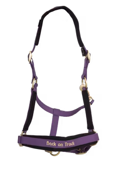 Back On Track Werano Grimma - Lila