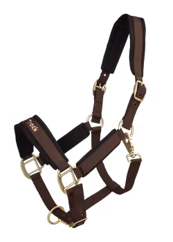 Back On Track Werano Grimma - Brun