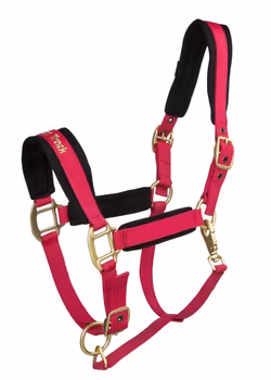 Back On Track Werano Grimma - Cherry