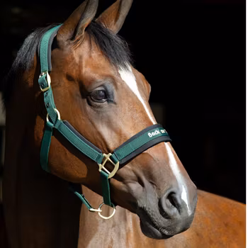 Back On Track Werano Grimma - Grön