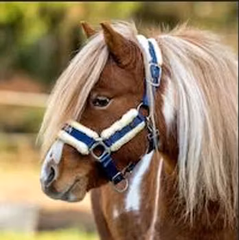 Grimma Cesano JH Collection - Marinblå