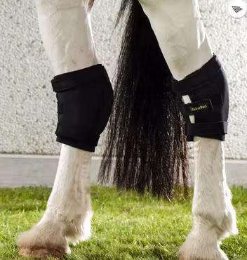 Back On Track Hasskydd - Höger