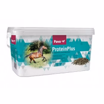 Pavo ProteinPlus 7kg