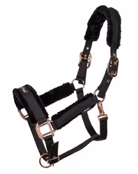 Back On Track Haze Collection Grimma - Svart Rosé