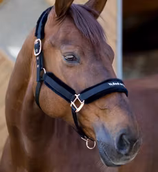 Back On Track Haze Collection Grimma - Svart Rosé