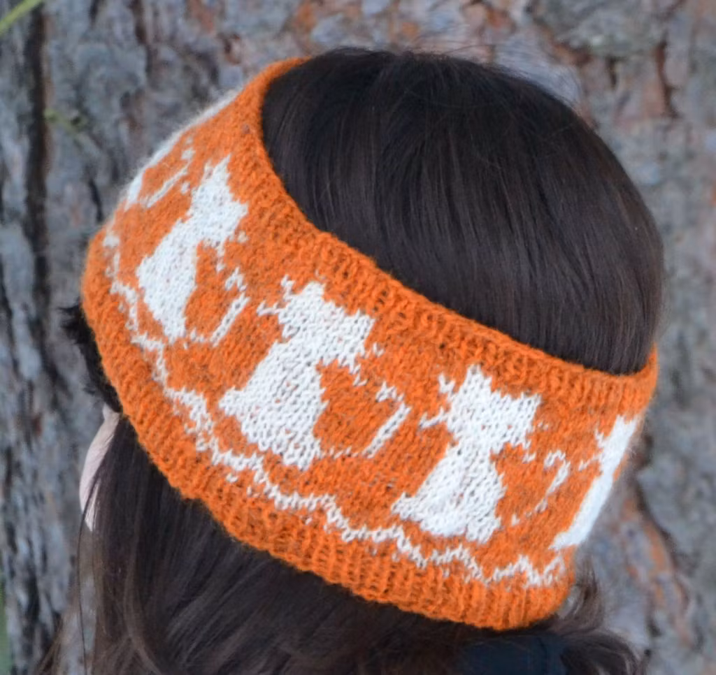 11118 Pannband katter