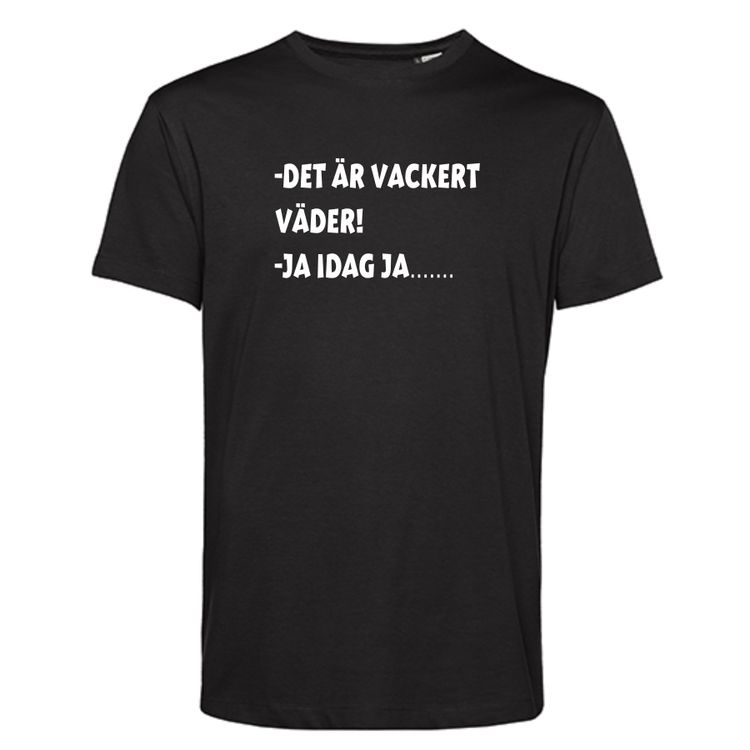 Det är vackert väder