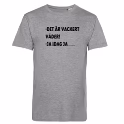 Det är vackert väder grå