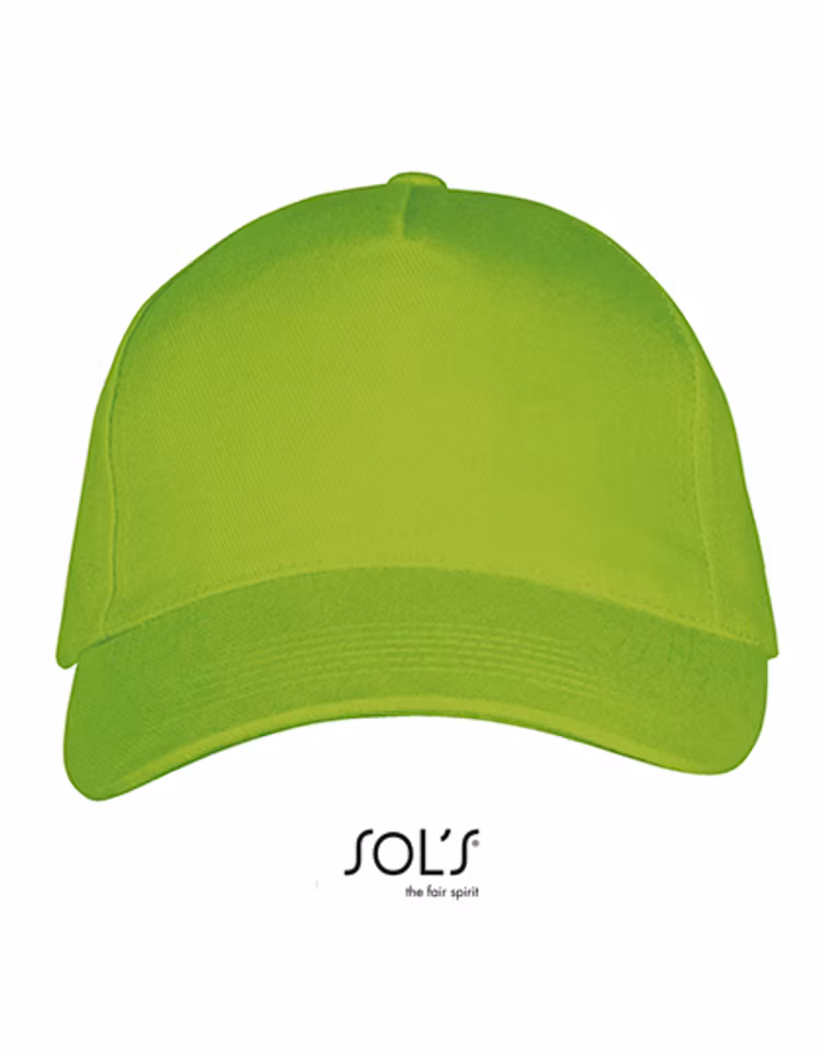 5 panels keps/Lime