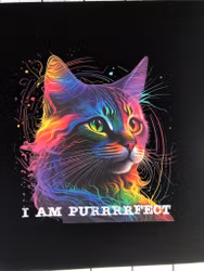 Cat purrrfect  V-ringad Women