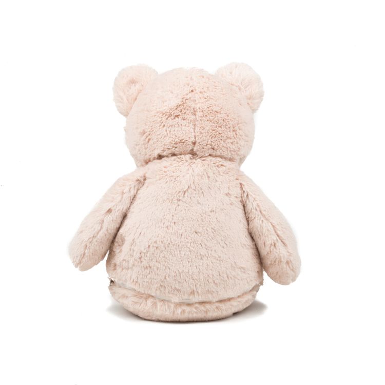 Teddy