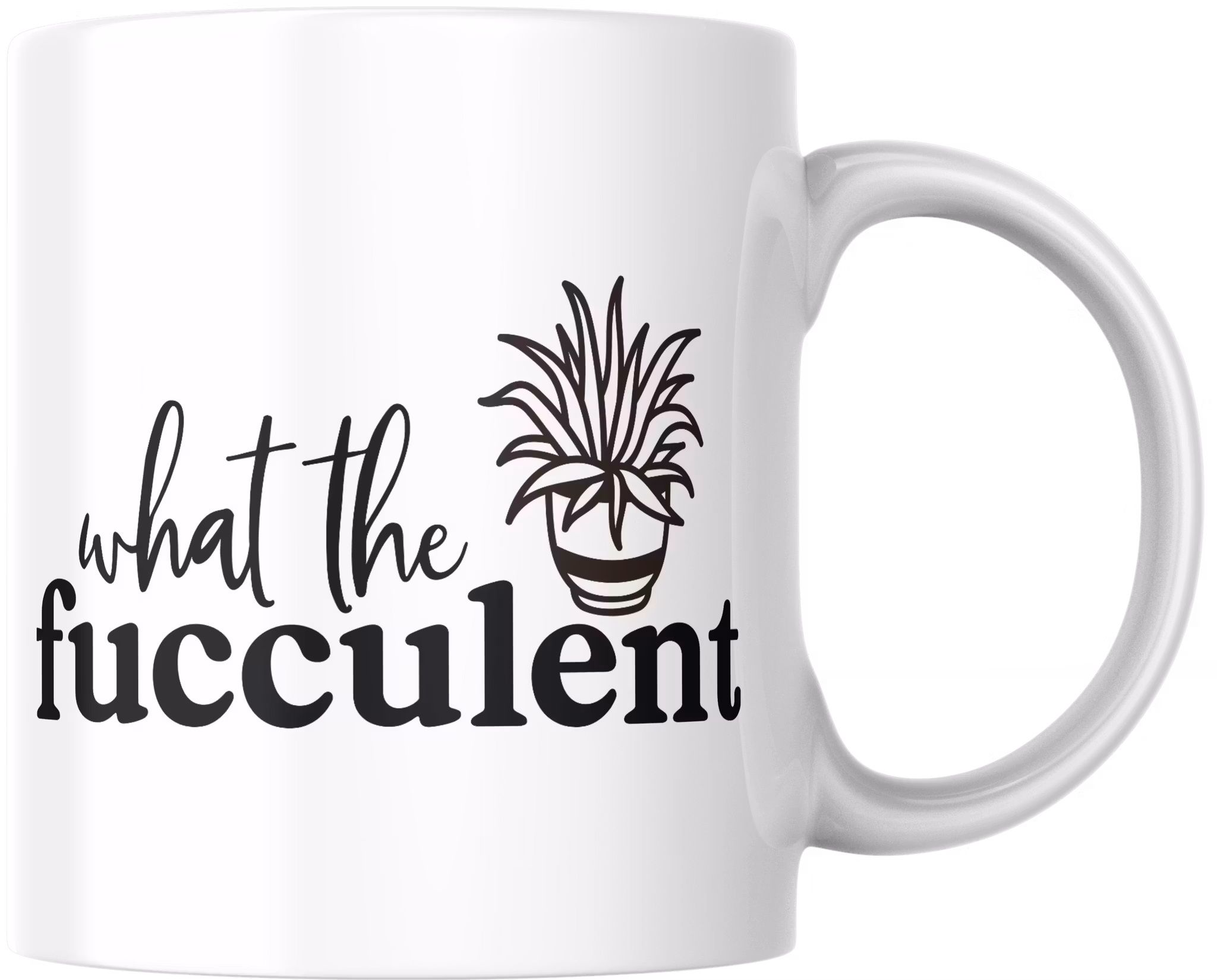 Fucculent